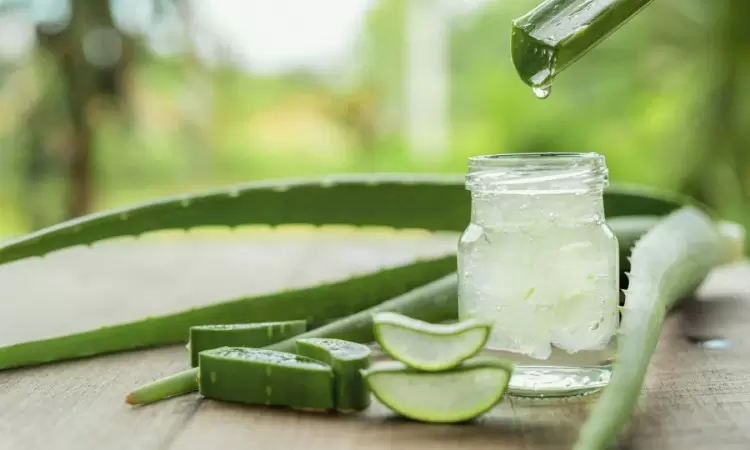 aloes-skladniki-odzywcze-wlasciwosci-i-dzialanie-dlaczego-warto-uzywac-aloesu